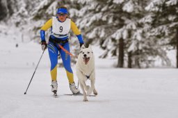 Kandersteg 2014 WM