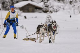 Kandersteg 2014 WM