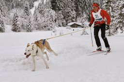 Kandersteg 2014 WM