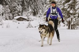 Kandersteg 2014 WM