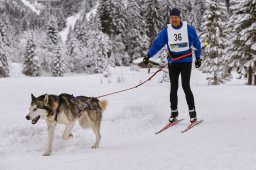 Kandersteg 2014 WM