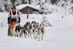 Kandersteg 2014 WM