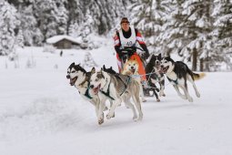 Kandersteg 2014 WM