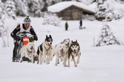 Kandersteg 2014 WM