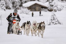 Kandersteg 2014 WM