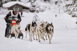 Kandersteg 2014 WM