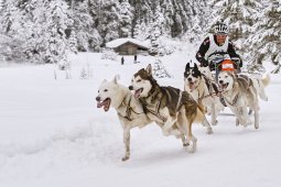 Kandersteg 2014 WM