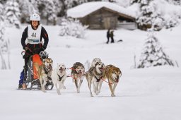 Kandersteg 2014 WM