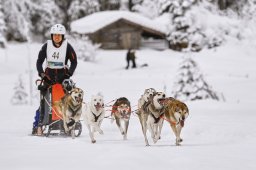 Kandersteg 2014 WM