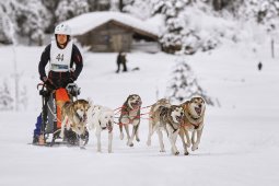 Kandersteg 2014 WM