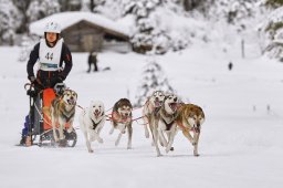 Kandersteg 2014 WM