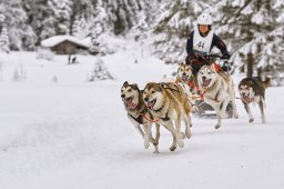 Kandersteg 2014 WM