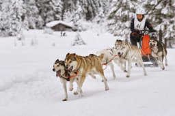 Kandersteg 2014 WM