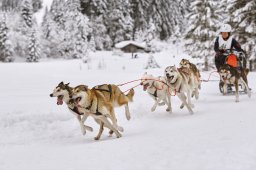 Kandersteg 2014 WM