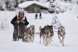 Kandersteg 2014 WM