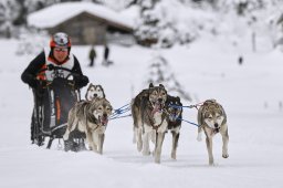 Kandersteg 2014 WM