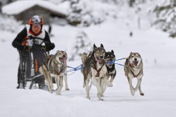Kandersteg 2014 WM