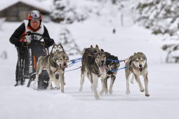 Kandersteg 2014 WM
