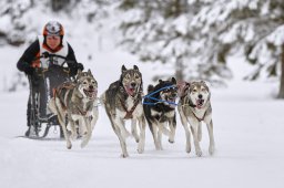 Kandersteg 2014 WM