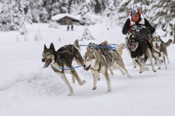 Kandersteg 2014 WM