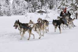 Kandersteg 2014 WM