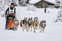 Kandersteg 2014 WM