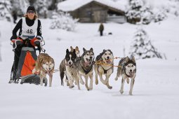 Kandersteg 2014 WM