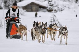 Kandersteg 2014 WM