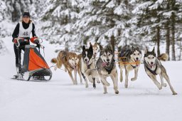 Kandersteg 2014 WM