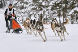 Kandersteg 2014 WM