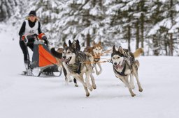 Kandersteg 2014 WM