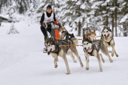 Kandersteg 2014 WM