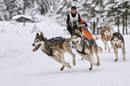Kandersteg 2014 WM
