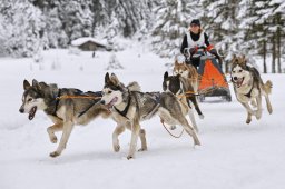 Kandersteg 2014 WM