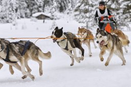 Kandersteg 2014 WM