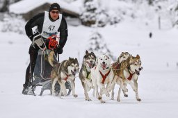 Kandersteg 2014 WM