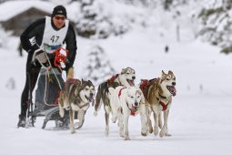 Kandersteg 2014 WM