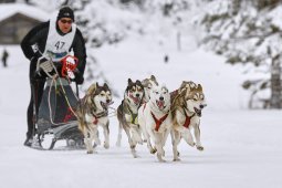 Kandersteg 2014 WM