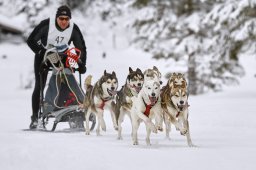 Kandersteg 2014 WM