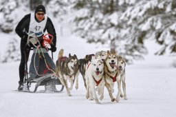 Kandersteg 2014 WM