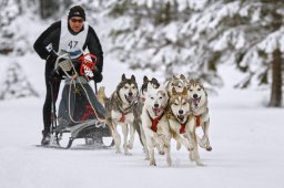 Kandersteg 2014 WM