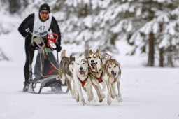 Kandersteg 2014 WM