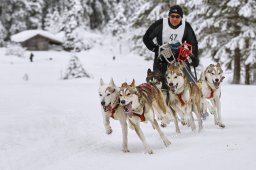 Kandersteg 2014 WM