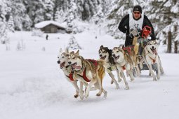 Kandersteg 2014 WM