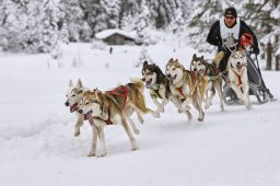 Kandersteg 2014 WM