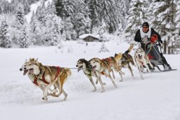 Kandersteg 2014 WM