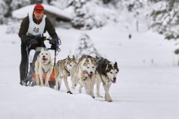 Kandersteg 2014 WM