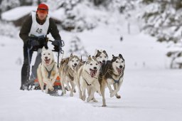 Kandersteg 2014 WM