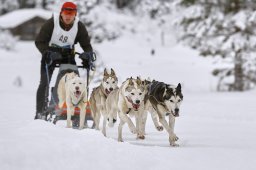Kandersteg 2014 WM