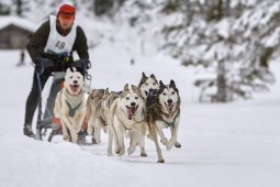 Kandersteg 2014 WM